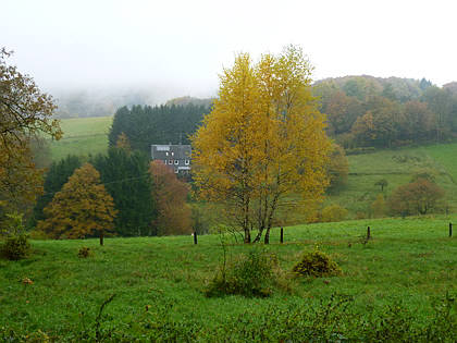 Rntgenlauf 2010