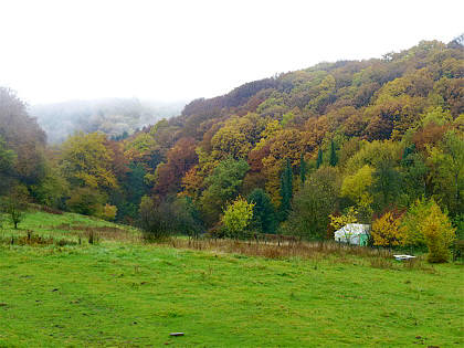 Rntgenlauf 2010