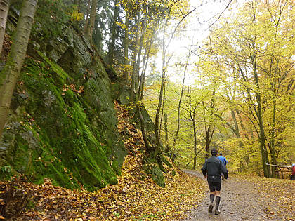 Rntgenlauf 2010