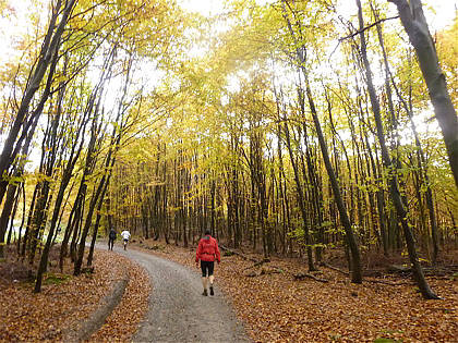 Rntgenlauf 2010