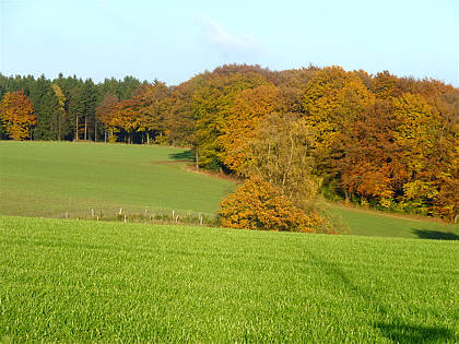 Rntgenlauf 2010