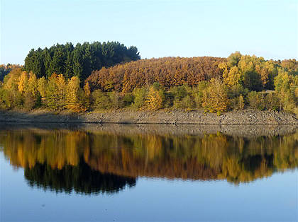 Rntgenlauf 2010