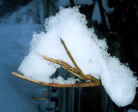 Winterlaufen