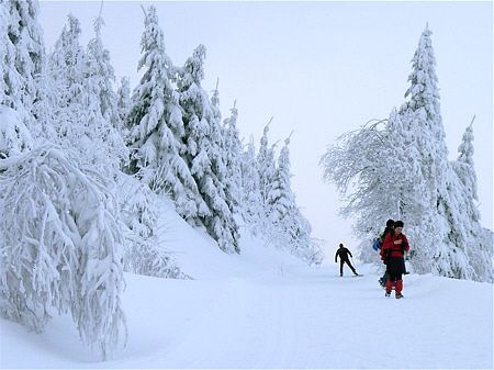 Winterlaufen