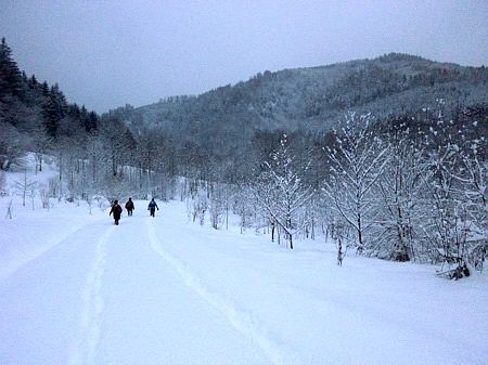 Winterlaufen