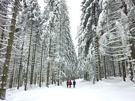 Winterlaufen