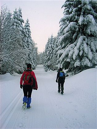 Winterlaufen