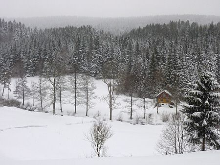 Winterlaufen