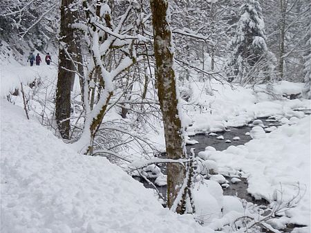 Winterlaufen