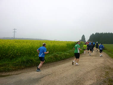 Schwarzwald-Marathon 2010