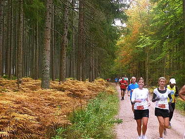 Schwarzwald-Marathon 2010