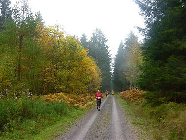 Schwarzwald-Marathon 2010