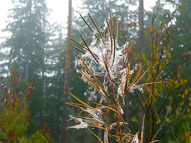 Schwarzwald-Marathon 2010