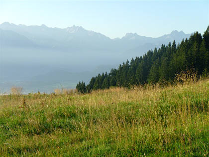 Allgu Panorama Ultramarathon Sonthofen 2010