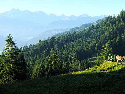 Allgu Panorama Ultramarathon Sonthofen 2010