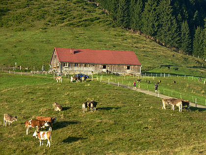 Allgu Panorama Ultramarathon Sonthofen 2010