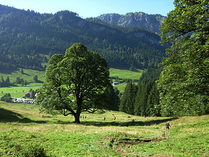 Allgu Panorama Ultramarathon Sonthofen 2010