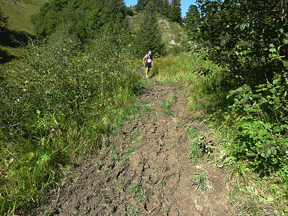 Allgu Panorama Ultramarathon Sonthofen 2010