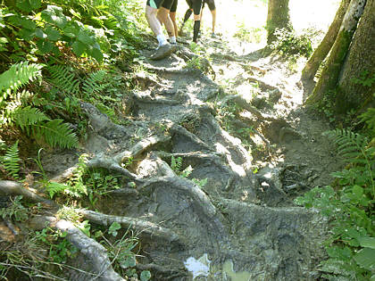 Allgu Panorama Ultramarathon Sonthofen 2010