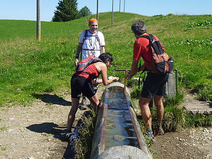 Allgu Panorama Ultramarathon Sonthofen 2010