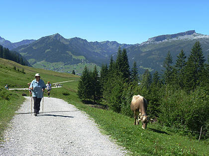 Allgu Panorama Ultramarathon Sonthofen 2010