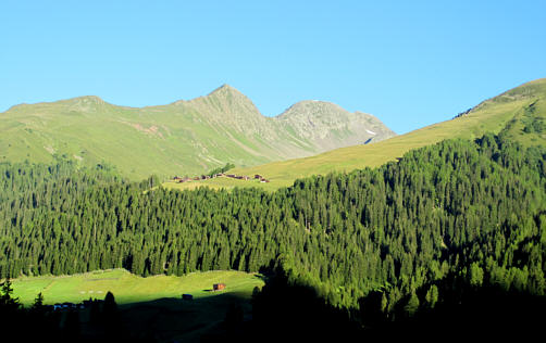 Swiss Alpine Marathon 2010