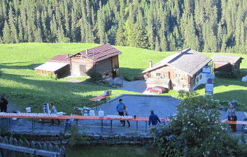 Swiss Alpine Marathon 2010