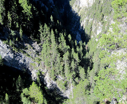 Swiss Alpine Marathon 2010