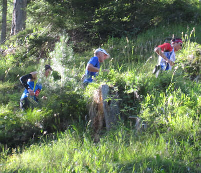 Swiss Alpine Marathon 2010