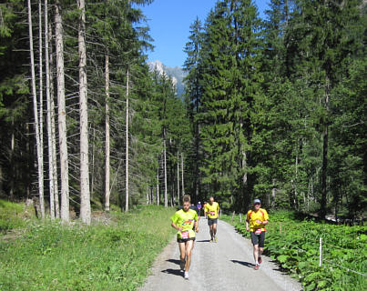 Swiss Alpine Marathon 2010