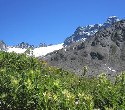 Swiss Alpine Marathon 2010