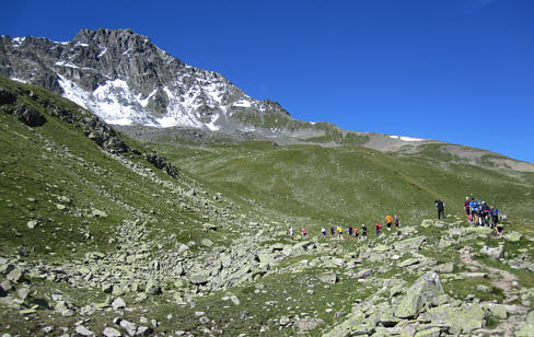 Swiss Alpine Marathon 2010