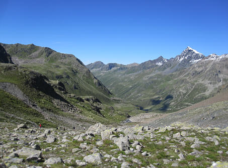 Swiss Alpine Marathon 2010