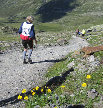 Swiss Alpine Marathon 2010