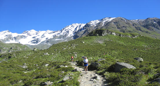 Swiss Alpine Marathon 2010