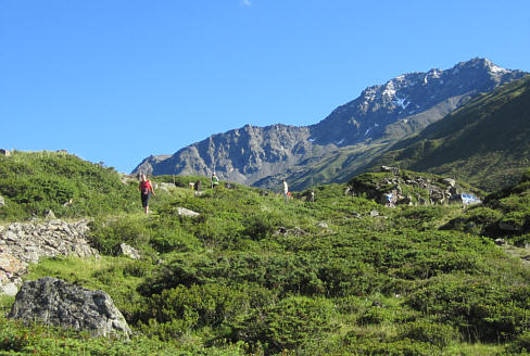 Swiss Alpine Marathon 2010