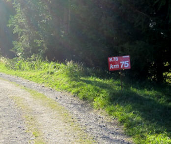 Swiss Alpine Marathon 2010