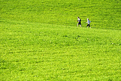 Transalpine Run 2010