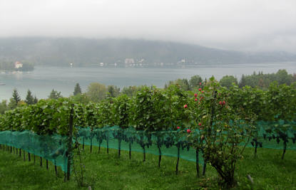 Wrthersee Ultratrail 2010