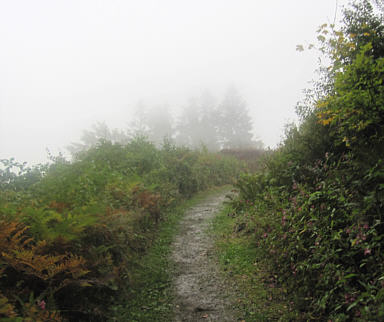 Wrthersee Ultratrail 2010