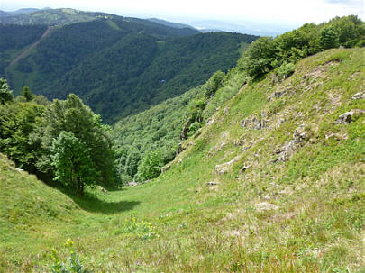 Mara-Trail Ballon d'Alsac