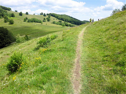 Mara-Trail Ballon d'Alsac