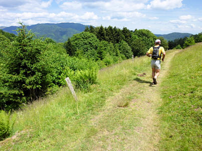 Mara-Trail Ballon d'Alsac