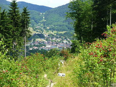 Mara-Trail Ballon d'Alsac