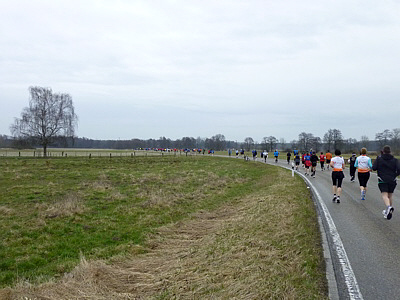 Bienwald Marathon 2011