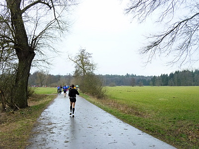 Bienwald Marathon 2011