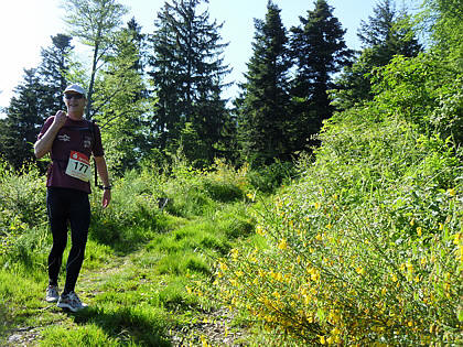 Black Forest Trailrun 2011