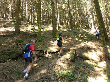 Black Forest Trailrun 2011