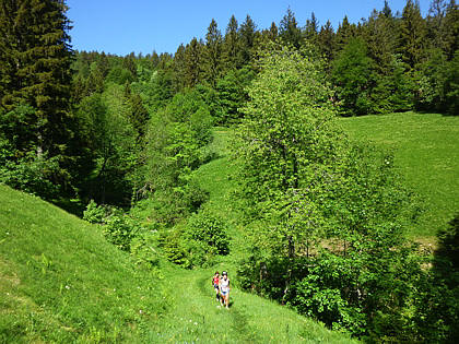 Black Forest Trailrun 2011