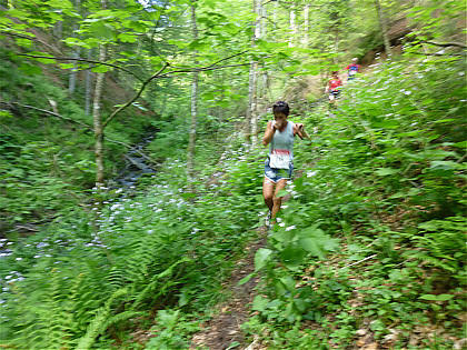 Black Forest Trailrun 2011